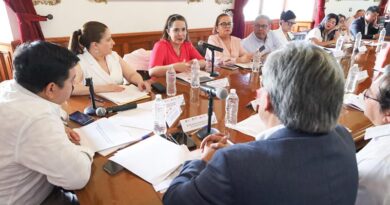 1ª Sesión Extraordinaria del Consejo Estatal para la Atención de la Persona Mayor para el Estado de Veracruz