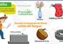 Durante la temporada de lluvias aumentan las condiciones para la reproducción del mosquito transmisor del dengue