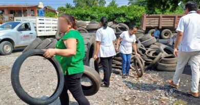 “Jornada de Eliminación de criaderos del mosquito transmisor del dengue”