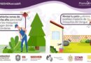 ¿Sabes cómo mantener alejados a los mosquitos transmisores del Dengue de tu patio o jardín?