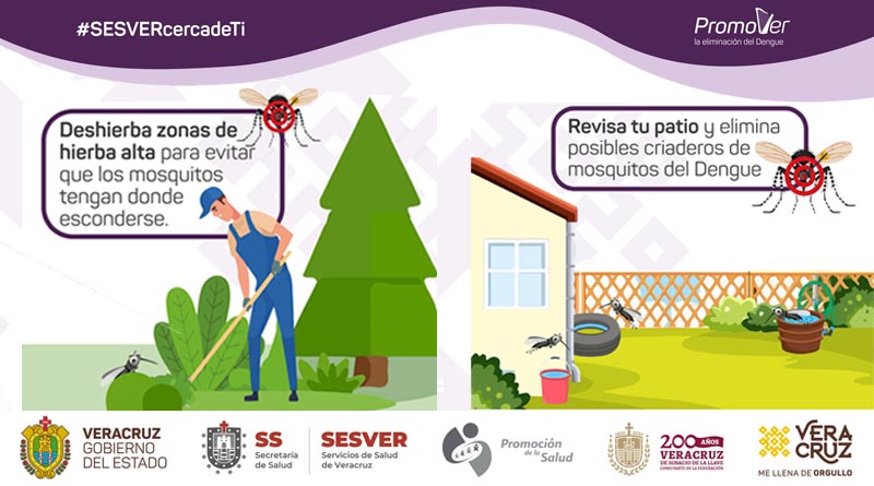 ¿Sabes cómo mantener alejados a los mosquitos transmisores del Dengue de tu patio o jardín?