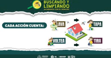 ¡Ayúdanos a combatir el dengue!