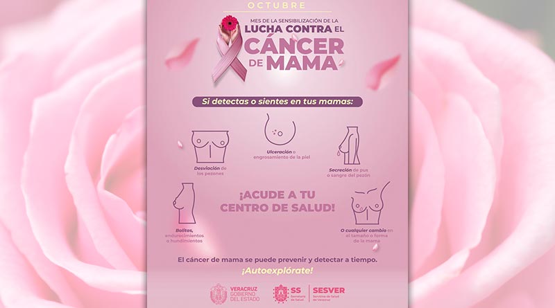 Octubre | Mes de sensibilización de la lucha contra el cáncer de mama