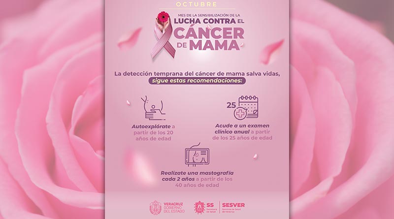 Mes de la sensibilización de la lucha contra el cáncer de mama