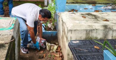 Limpieza y eliminación de posibles criaderos del mosquito transmisor del dengue en panteones