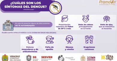  ¿Sabes cuáles son los síntomas del Dengue? 