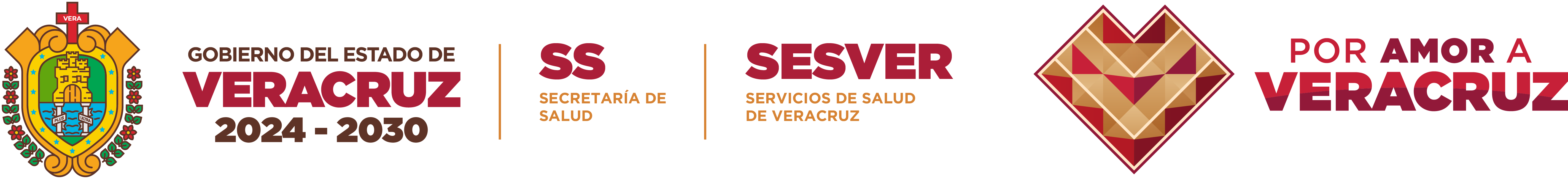 SaludVeracruz