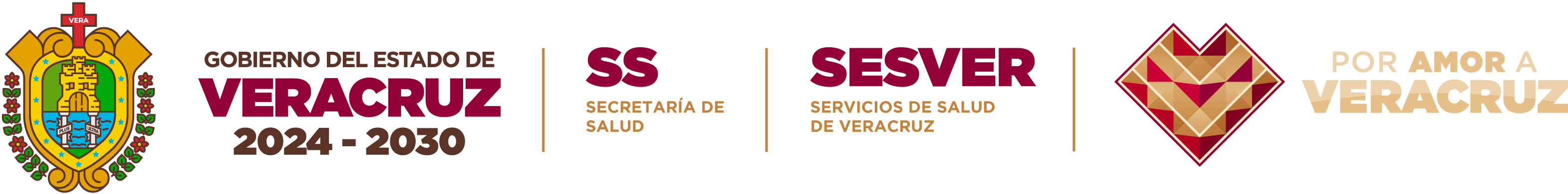 SaludVeracruz