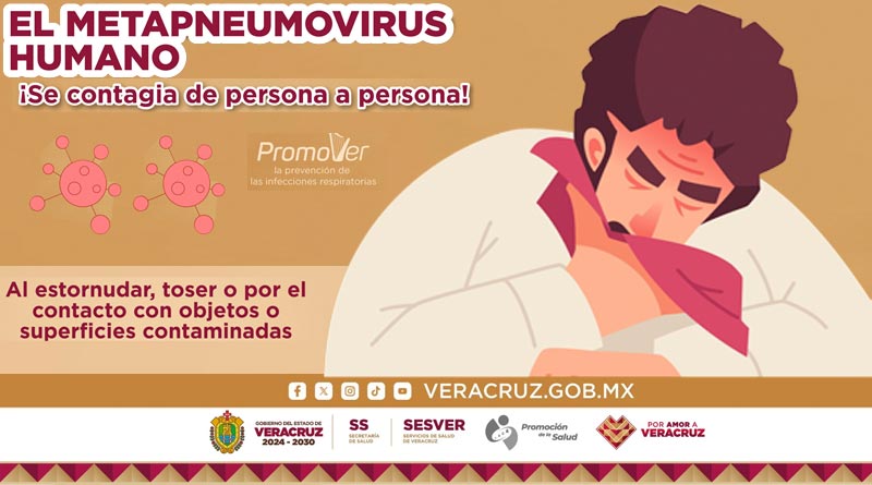 PromoVer la prevención de enfermedades