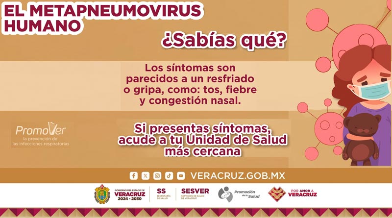 Para prevenir el metapneumovirus humano