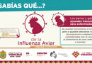 ¿Sabías que?
