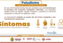 Los síntomas del Paludismo
