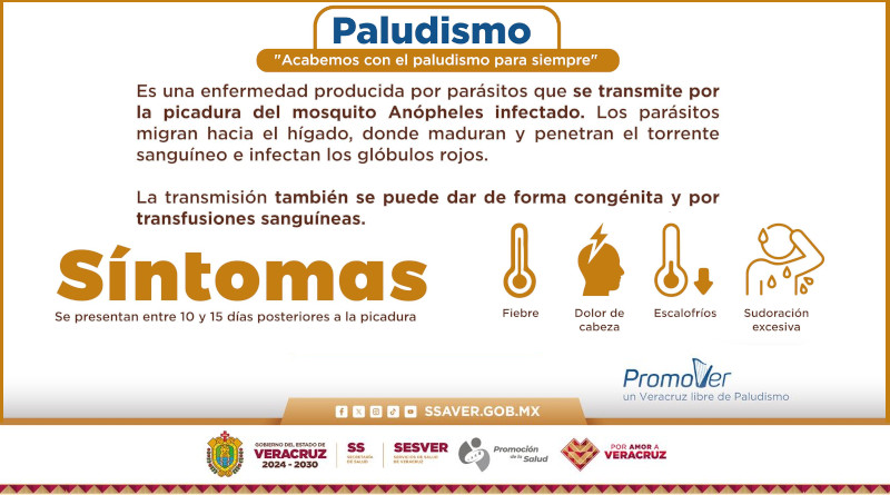 Los síntomas del Paludismo